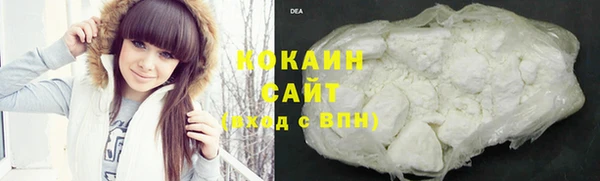кокс Белокуриха