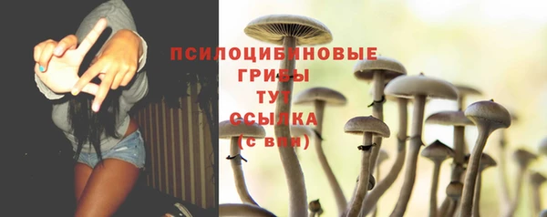 кокс Белокуриха