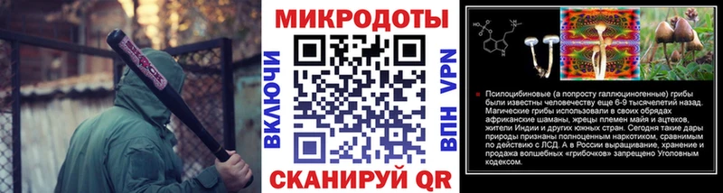 Купить закладки  Жиздра  Псилоцибиновые грибы мицелий 
